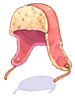 Gorro Chullos [1]