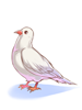 Costume Mysterious Pigeon