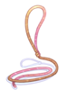 string