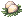 Indian Rice Cake