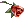 Rosa da Sedução