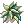 Peruca de Samambaia