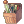 Kit de Reparação [1]