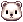 Bebê Polar