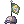 Chapéu de Beeira Brasileira [1]