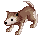 R_DESERT_WOLF_B