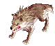 EVENT_DESERT_WOLF
