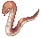 G_ANACONDAQ_