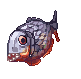 G_PIRANHA
